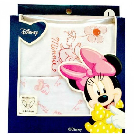 Disney Minnie 2 pack briefs- 3-4, 6-8yrs