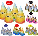 Character 12pack party Cone hats- NEW DESIGNS- Frozen, Sofia, Jake, Pooh, Mickey, Minnie, Doc etc