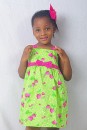 New Horizon Lime & Pink Cotton Dress- 3T, 4T