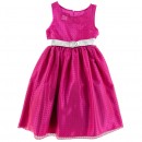 Cinderella Girls Mesh Flocked Dot Dress-2, 3, 4yrs