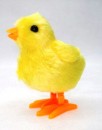 Wind up Chick -Mini Toy