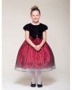 Crayon Kids Sparkle Princess Dress- 2, 3yrs